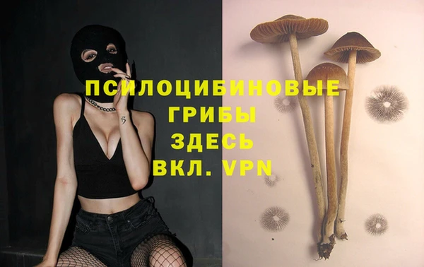 эйфоретик Новодвинск