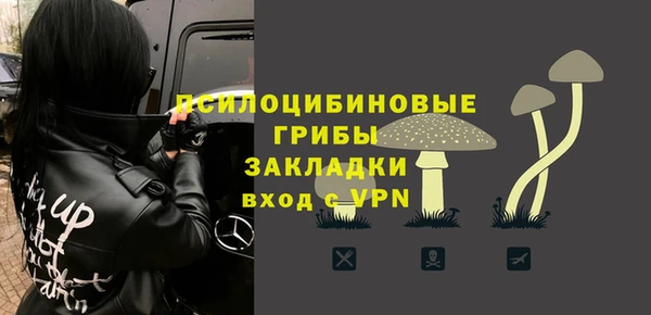 дмт Новозыбков