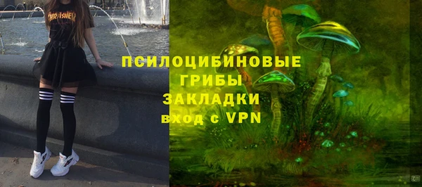 ешки Абинск