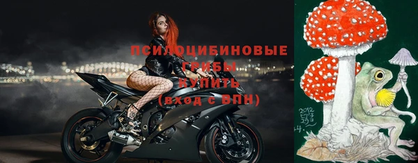 ешки Абинск