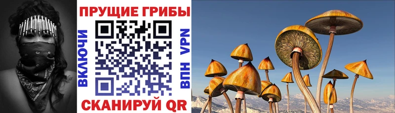 Псилоцибиновые грибы Psilocybine cubensis  даркнет сайт  Лесозаводск 
